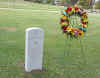 TSC_cenotaph.jpg (43055 bytes)